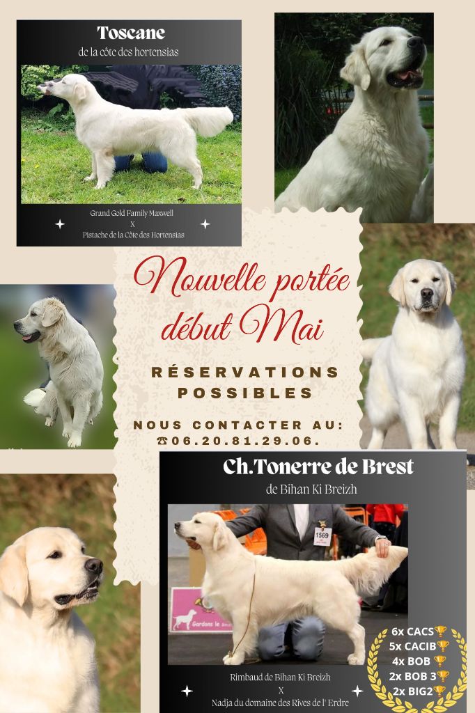 Les chiots sont nés le 5 mai 2024